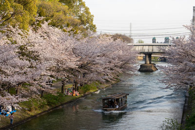 fushimikoukouen